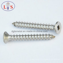 Ss304 Wood Screw/Stainless Steel Screw Square Drive Screw